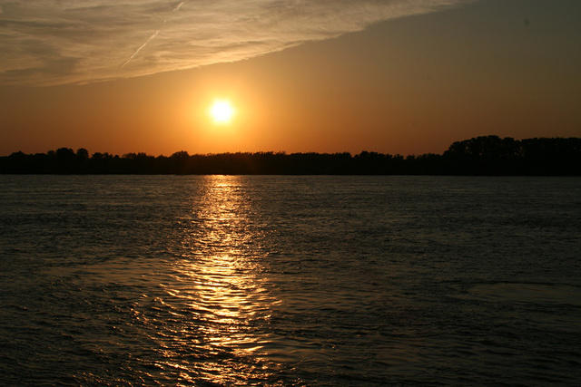 Picture 1073