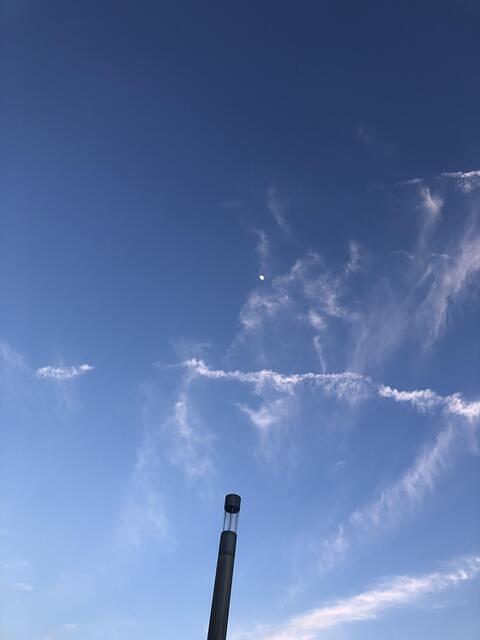 IMG 5534