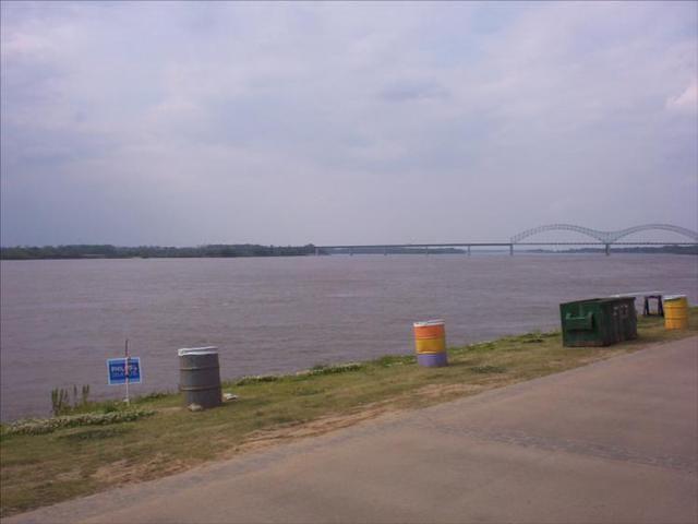 MIM 05 1561