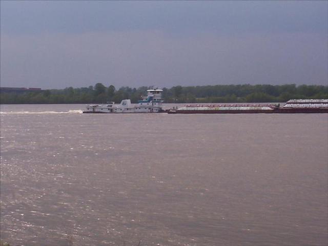 MIM 05 1565