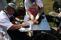 IMG 5642