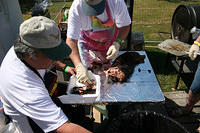 IMG 5643