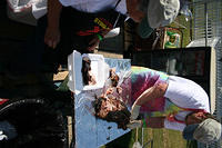 IMG 5644