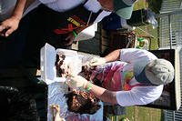 IMG 5645
