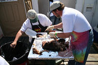 IMG 5646