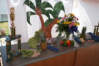 IMG 5730