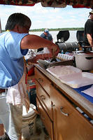 Picture 282