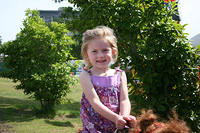 Picture 471