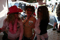 Picture 562