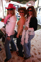 Picture 565