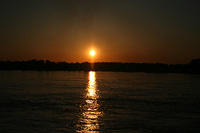 Picture 600