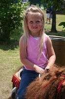 Picture 881