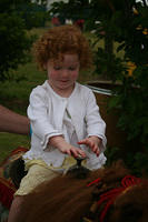 Picture 037