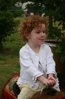 Picture 039