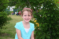 Picture 040