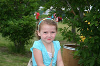 Picture 046