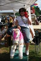 Picture 657 r25