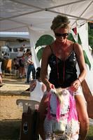 Picture 732 r25