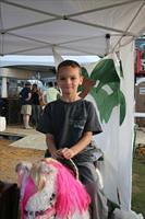 Picture 756 r25