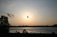 Picture 766 r25
