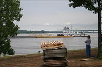 Picture 076 r25