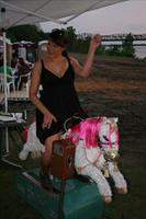 Picture 212 r25