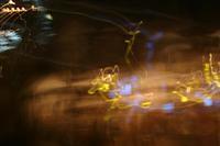 Picture 016 r25