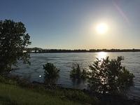 IMG 7231