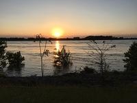 IMG 7264