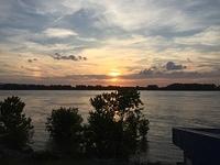 IMG 9241