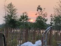 IMG 4367