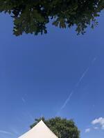 IMG009