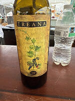 IMG 4269