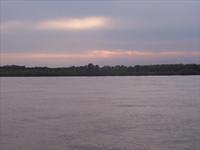 MIM 05 1617