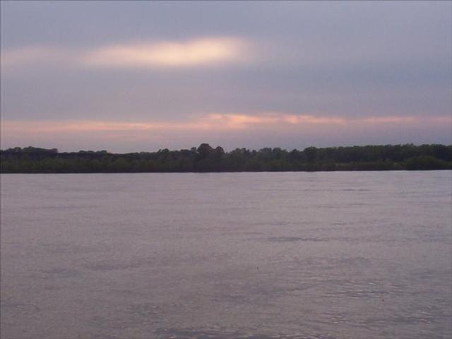 MIM 05 1617