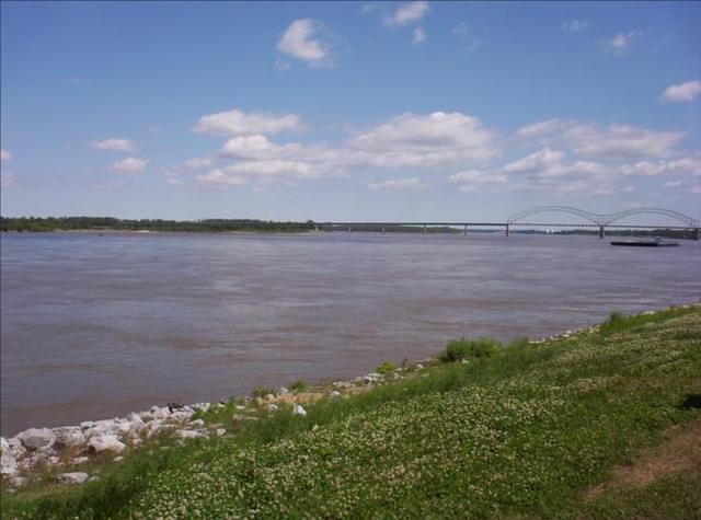 MIM 06 0255
