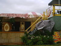 MIM 04 Fri Fri002