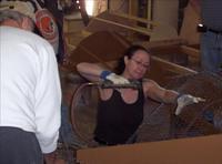 MIM 06 0327 0208