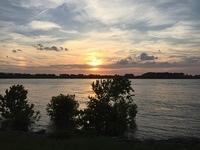 IMG 9240