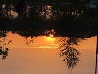 IMG 4316