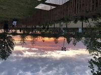 IMG 4323