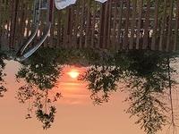 IMG 4363