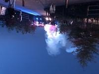 IMG 4377