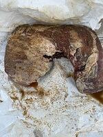 IMG 4267